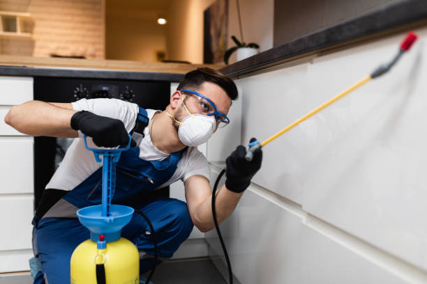 Best Pest Removal Services  in Purcellville, VA
