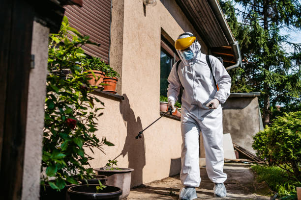 Wasp Removal Services in Purcellville, VA