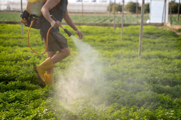 Best Pest Prevention Services  in Purcellville, VA